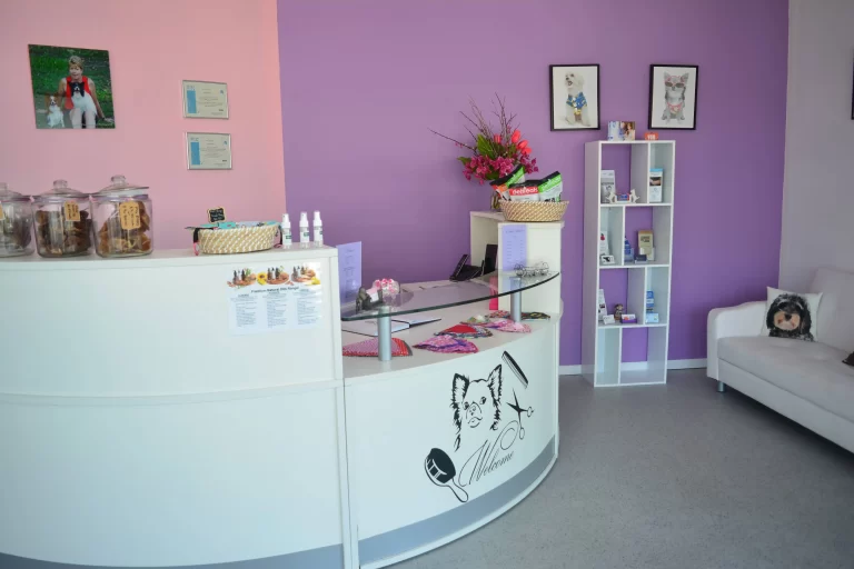dog grooming redlands
