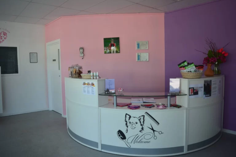 dog groomers birkdale